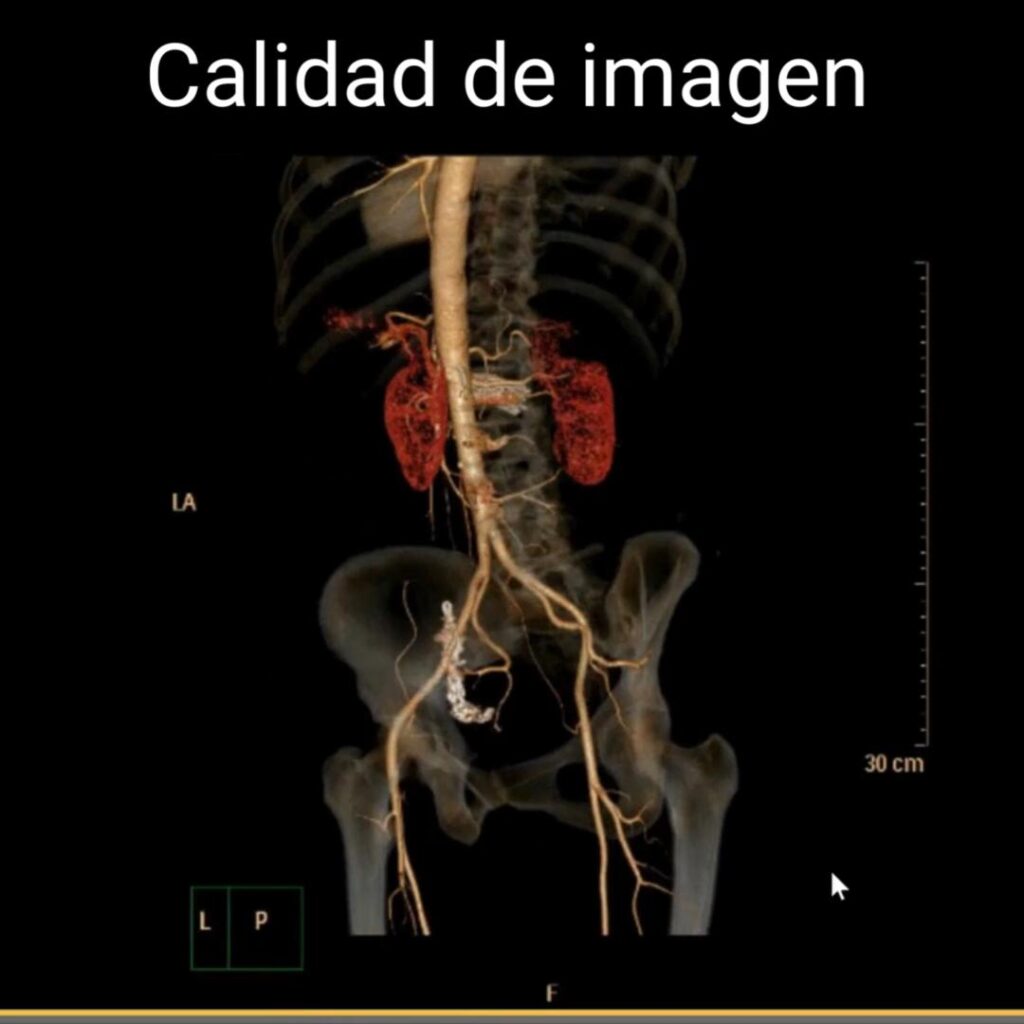 scanner oficial